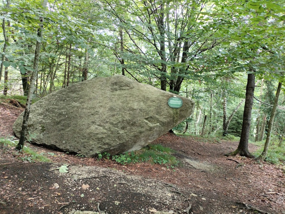 Naturdenkmal Grauer Stein