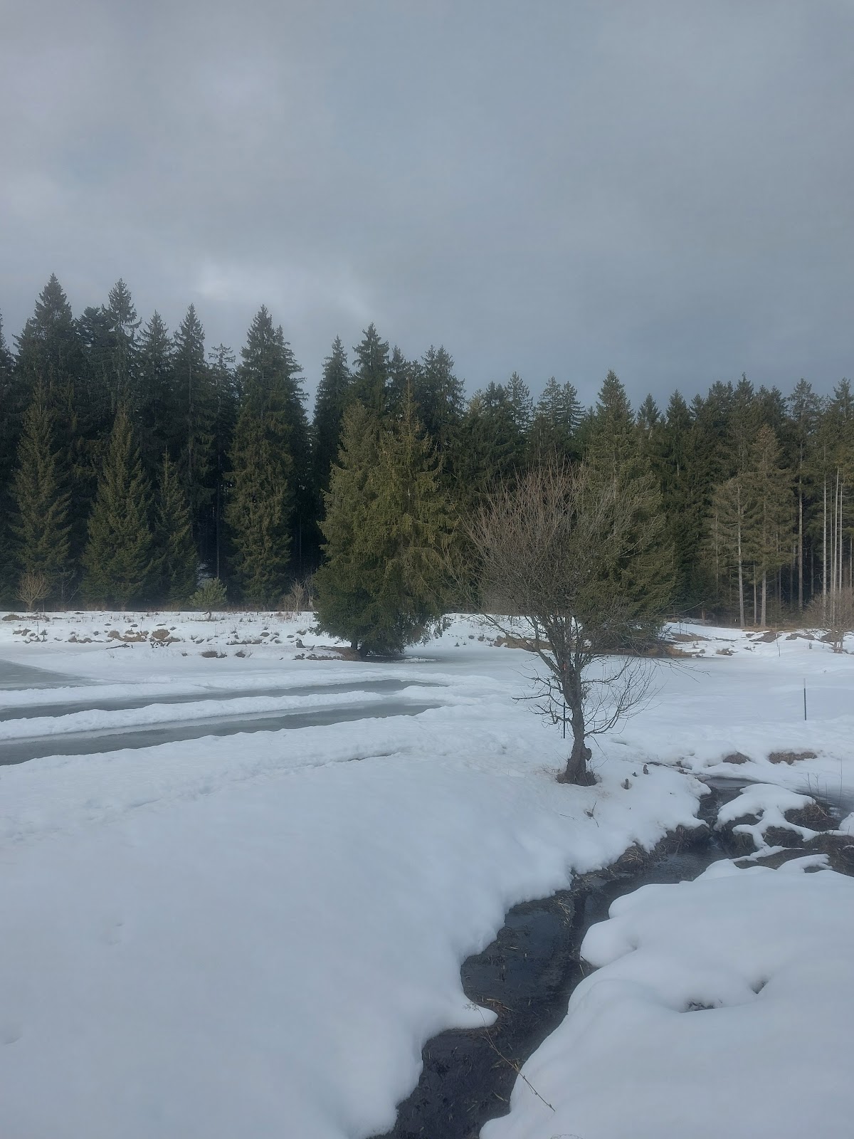 Naturdenkmal Wimmerkanal bei Hinterschmiding