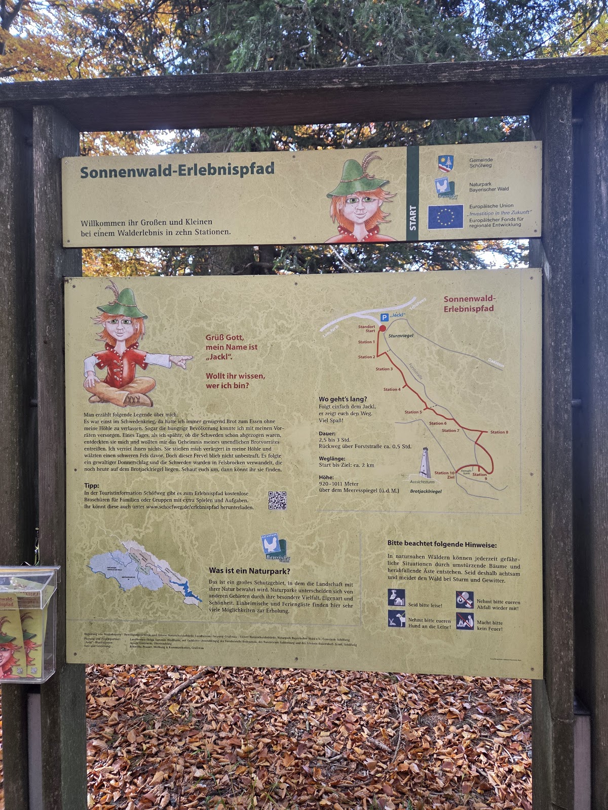 Naturdenkmal Winterlinde Haunstein