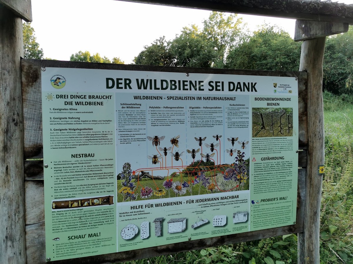 Naturerfahrungsraum am Goldbach