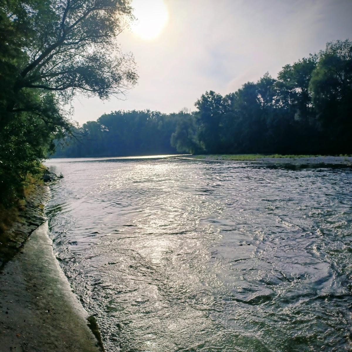 Naturerlebnis Auwald