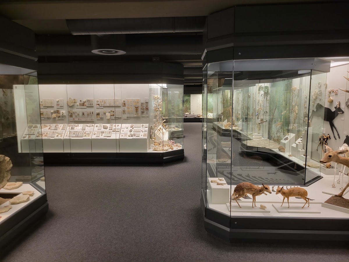 Naturmuseum