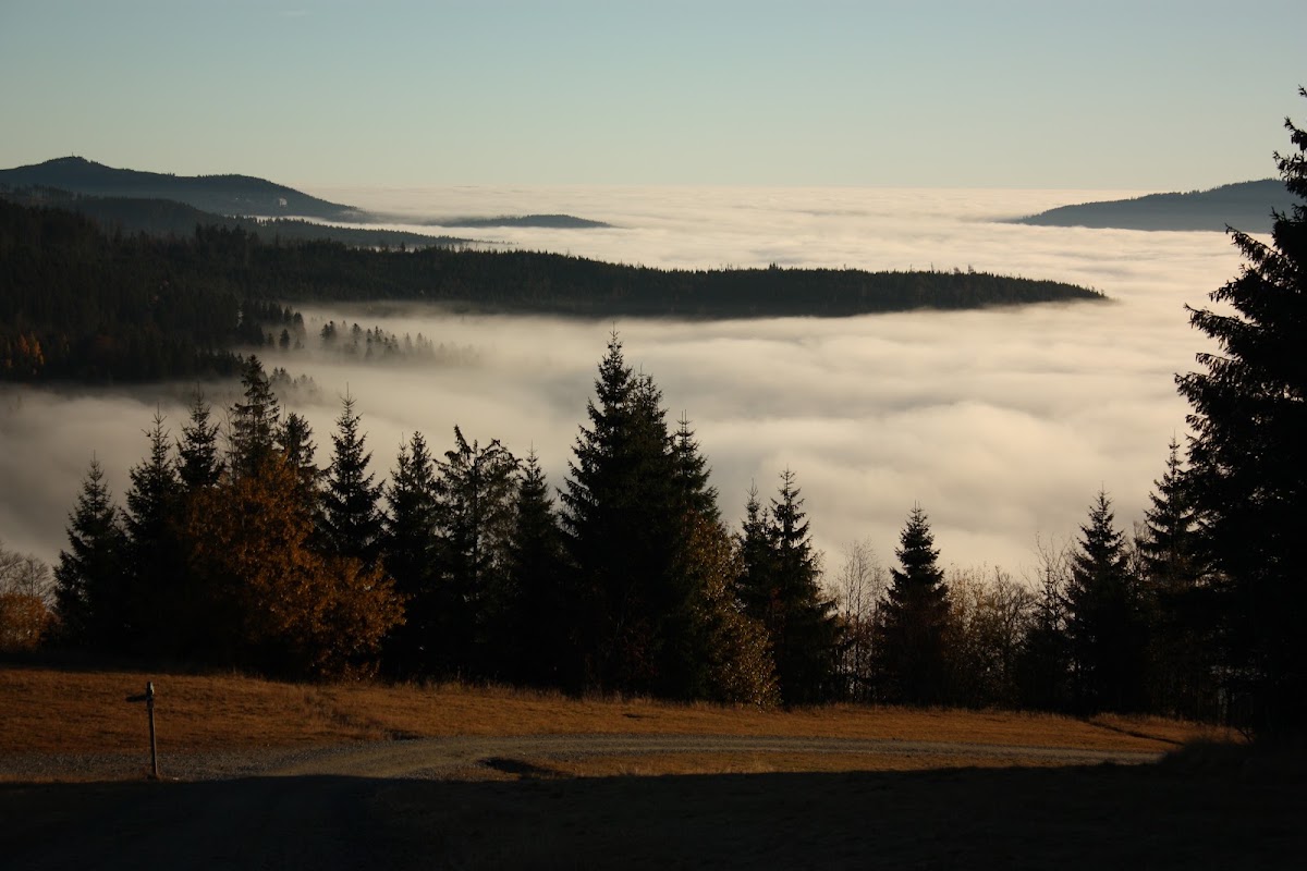 Naturpark Bayerischer Wald e.V.