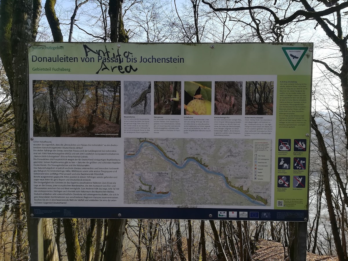 Naturschutzgebiet Donauleiten