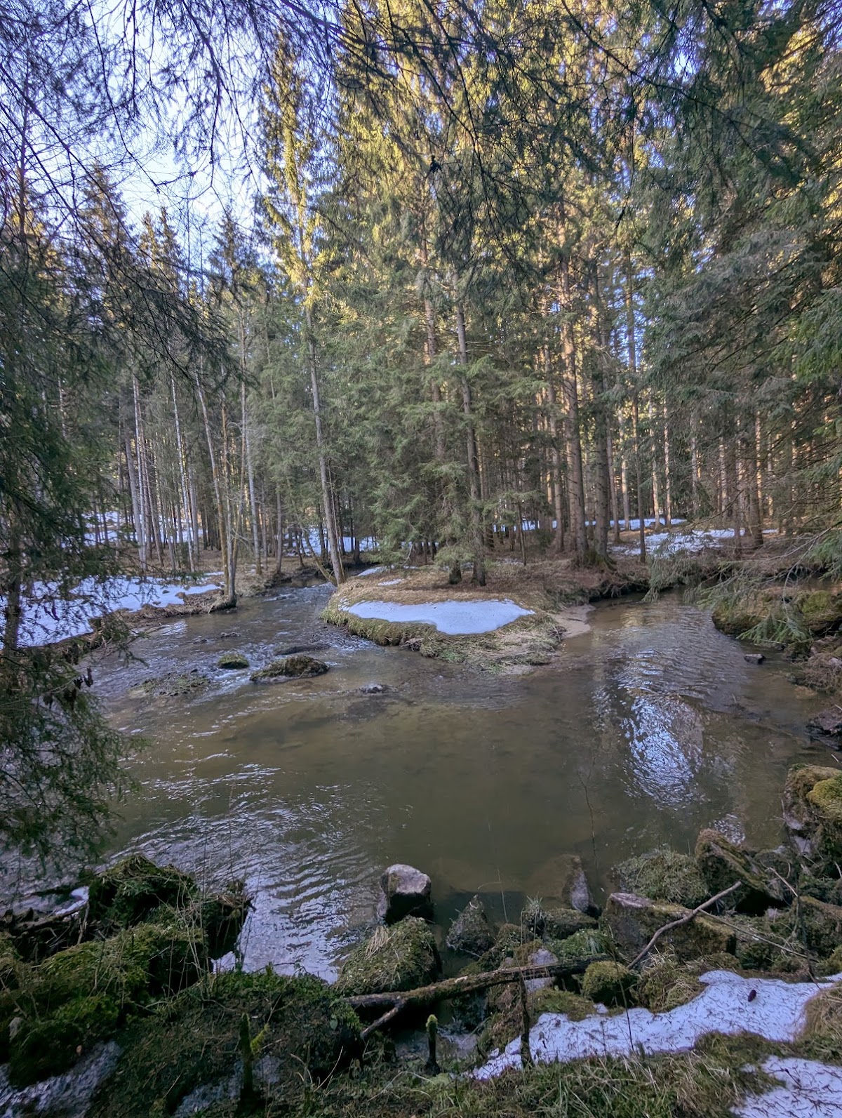 Naturschutzgebiet Mitternacher Ohe