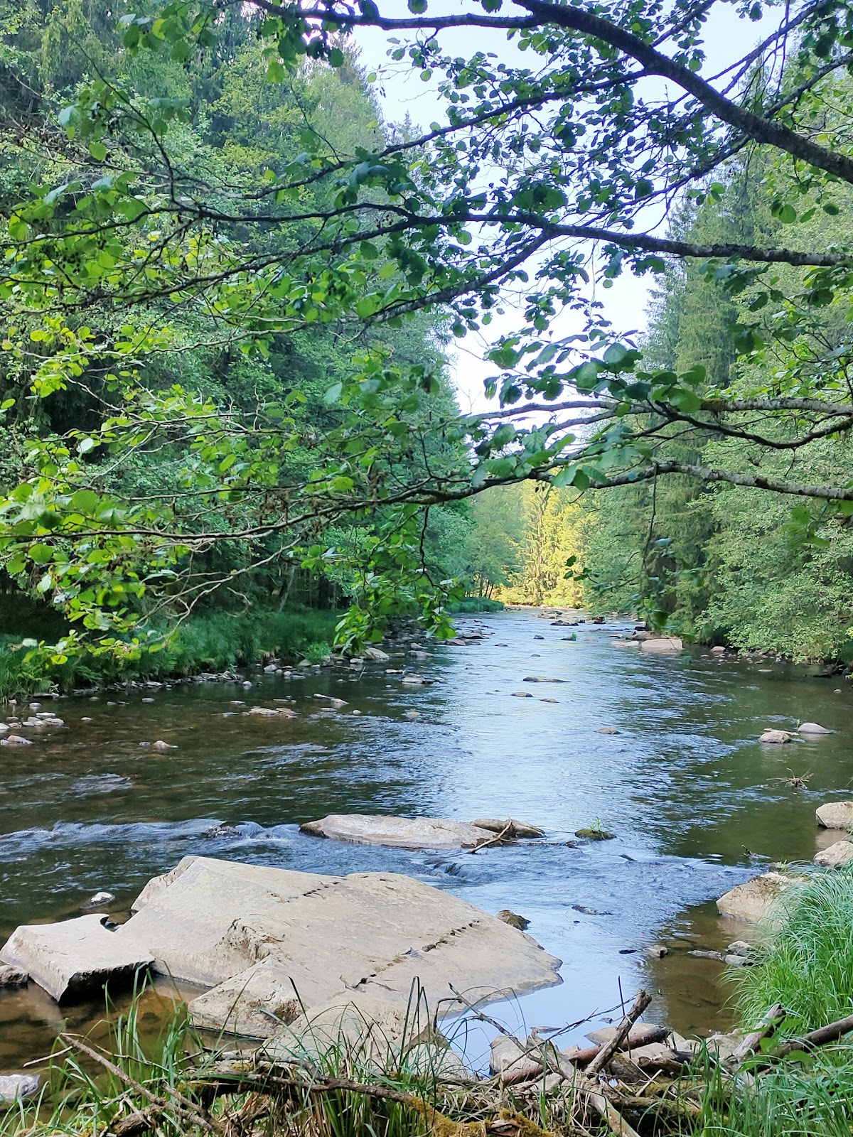 Naturschutzgebiet Obere Ilz
