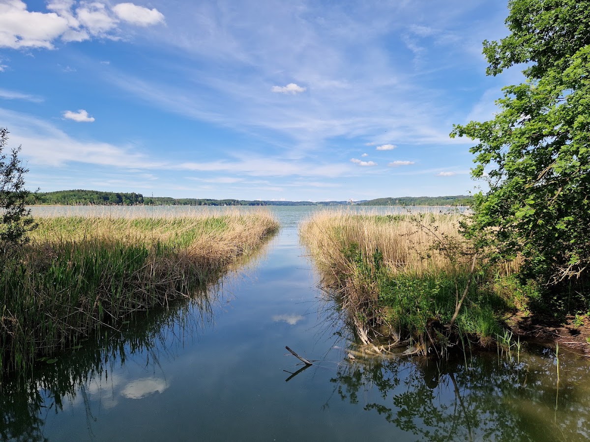 Naturschutzgebiet Simssee