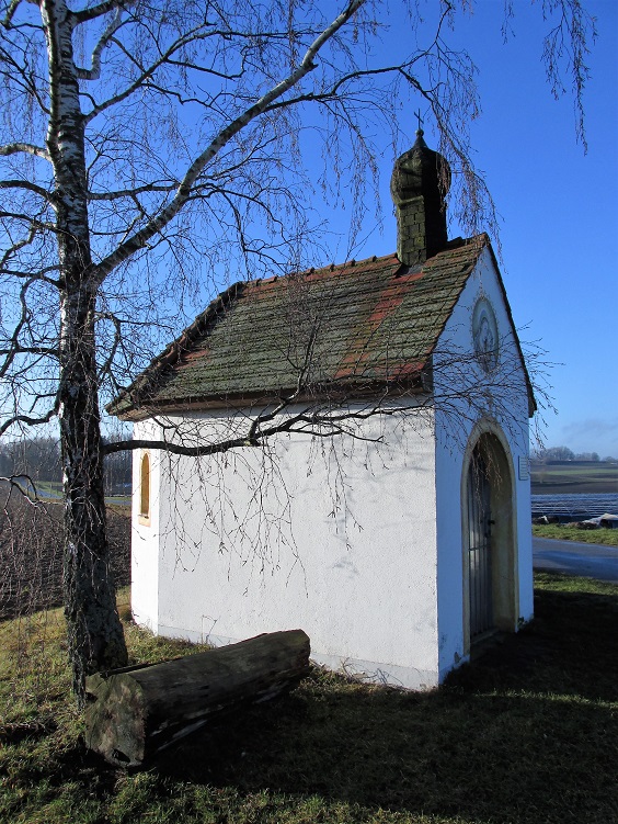 Niedermoor Rossmoos