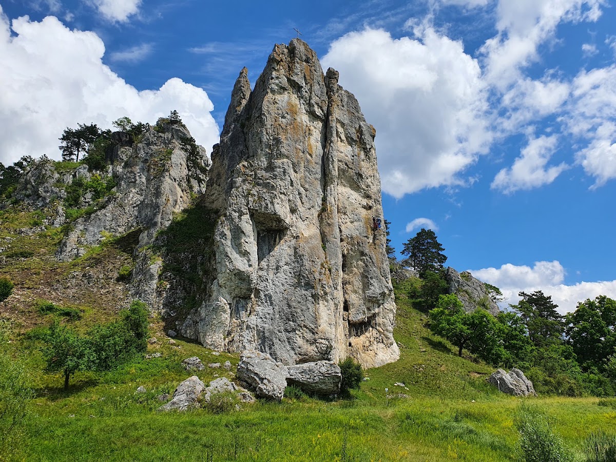 Obereichstätter Steppenheide
