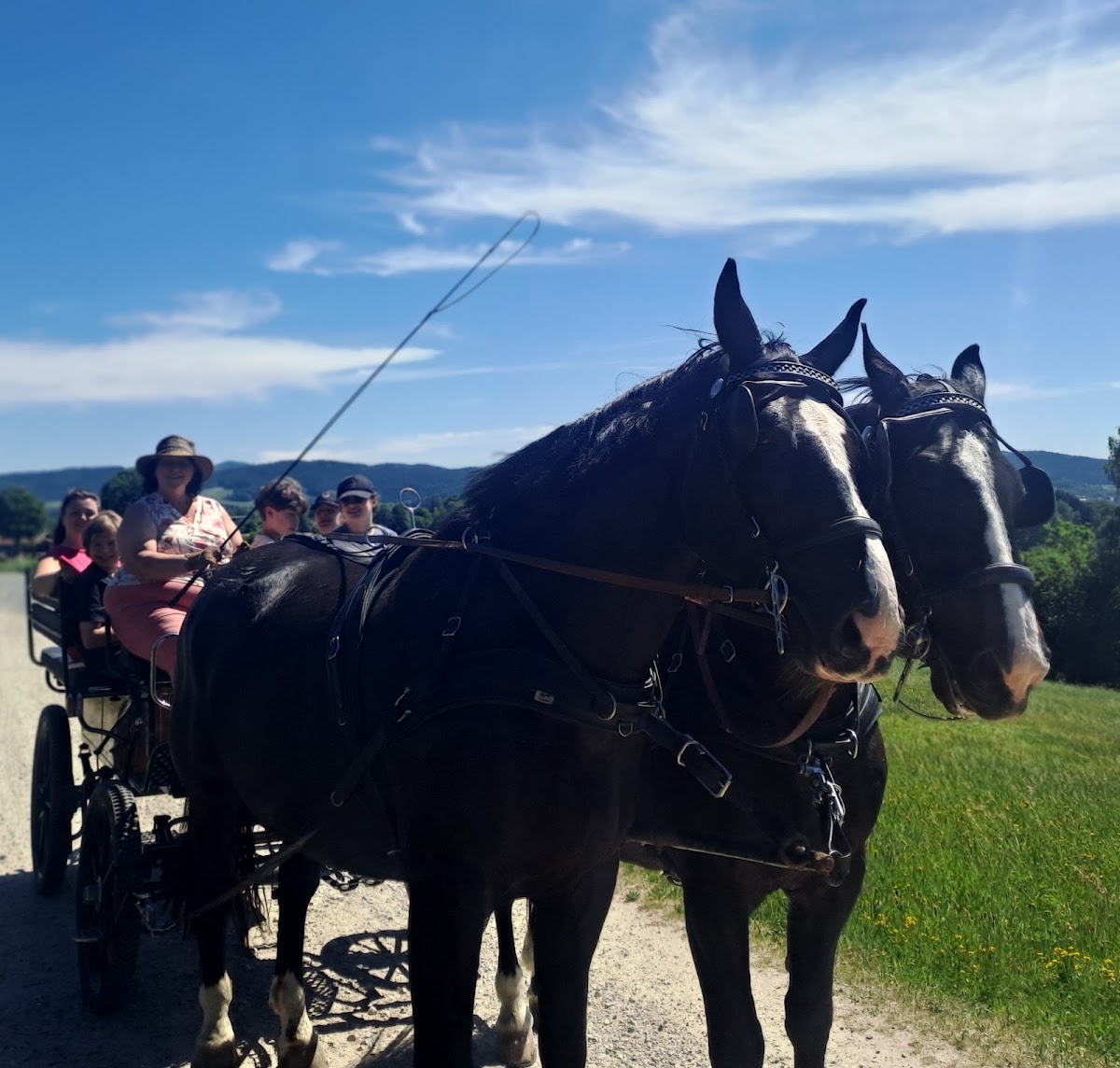 Pferdekutschen & Schlitten Franz Hackl