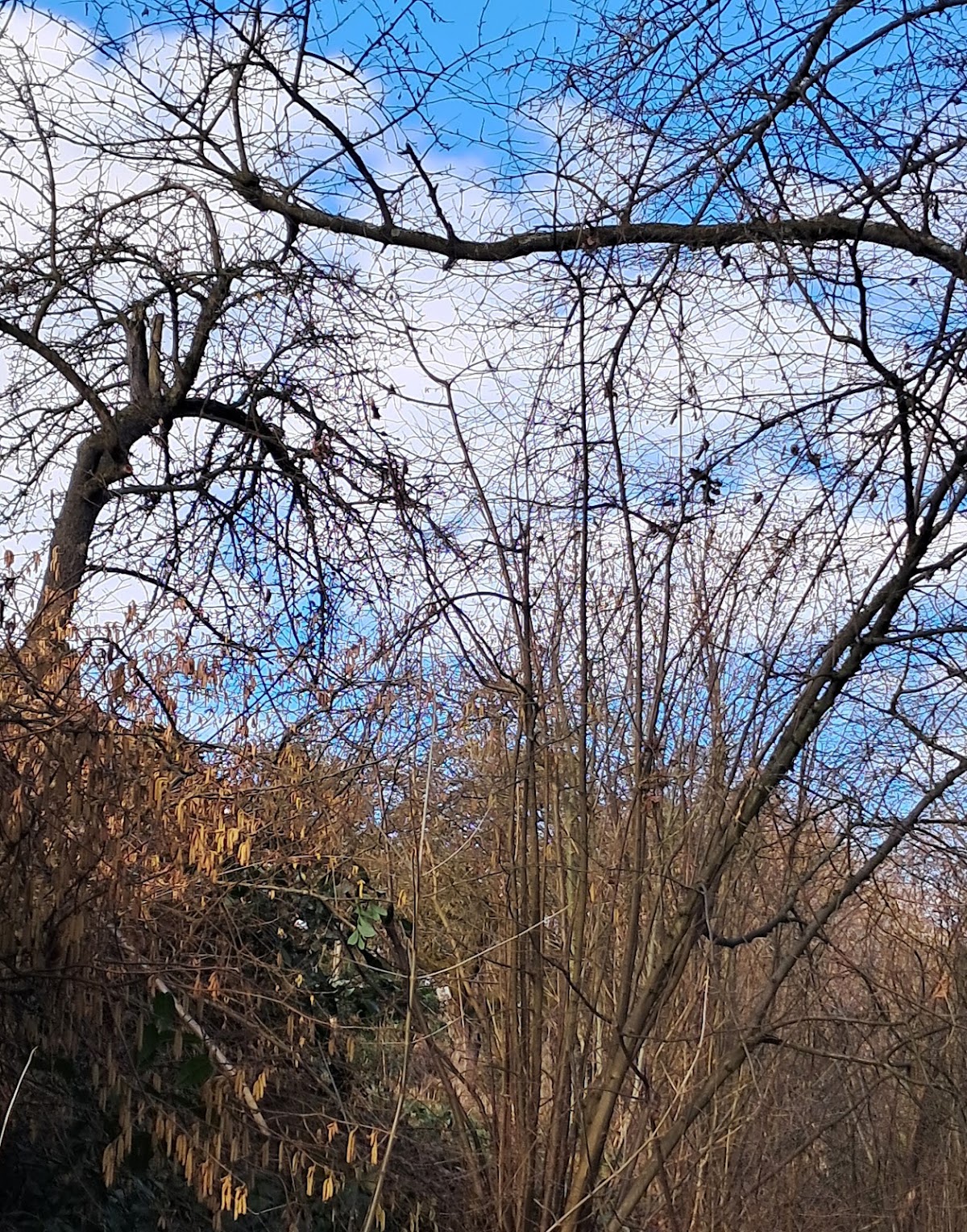 Quellhorizonte und Magerrasen bei Niederhofen