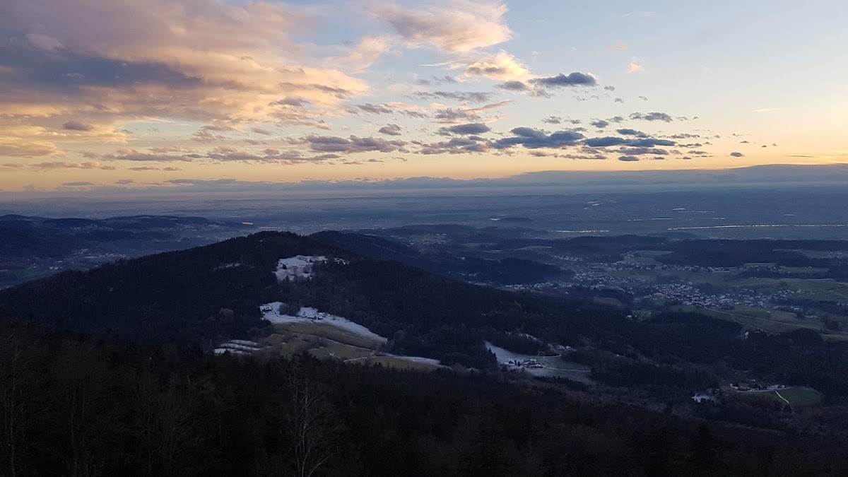 Regensburger Stein