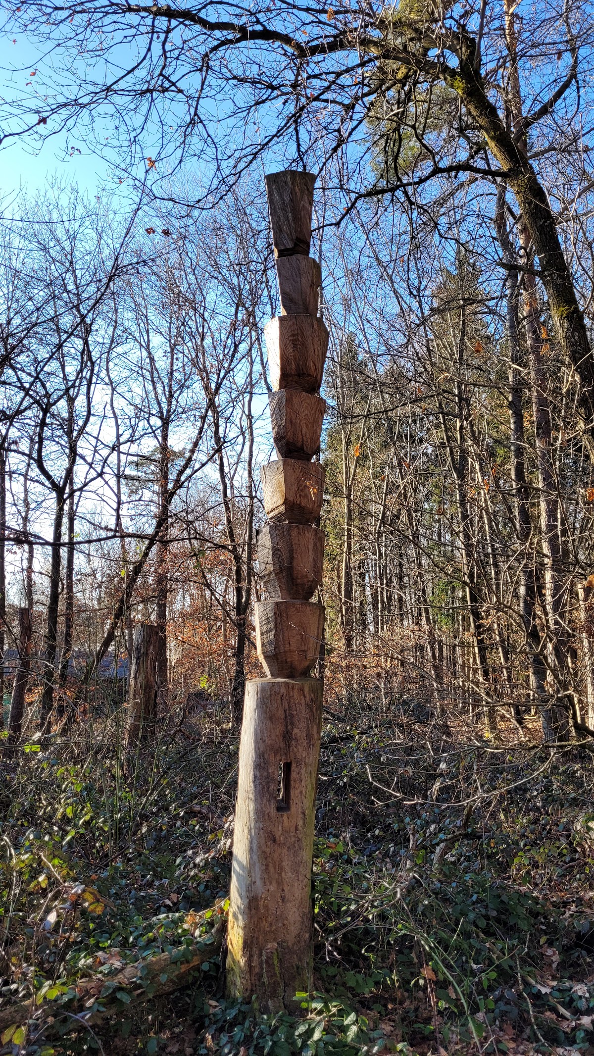 Reisberg bei Lippertshofen