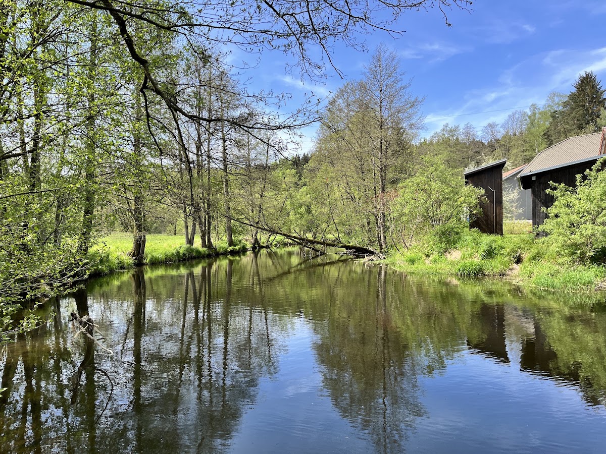Rinchnacher Ohe