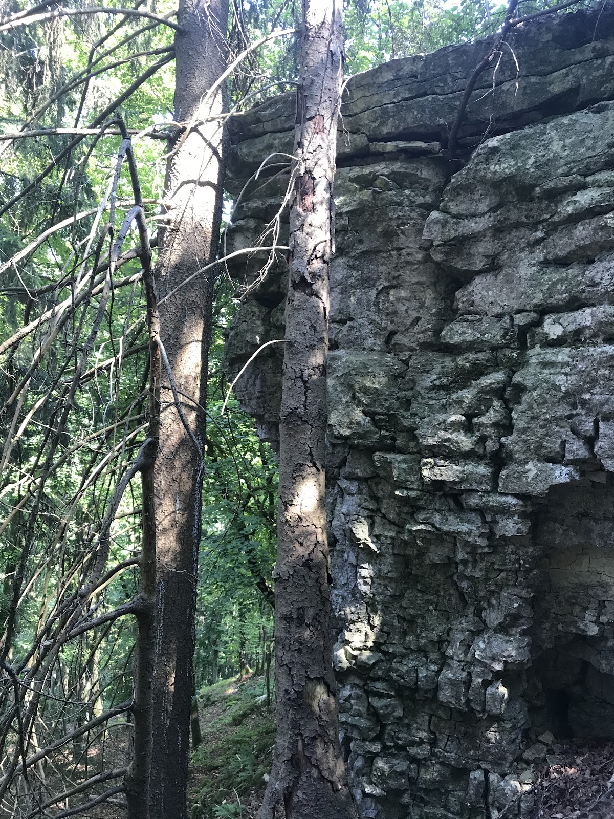 Ruine Ödenburg