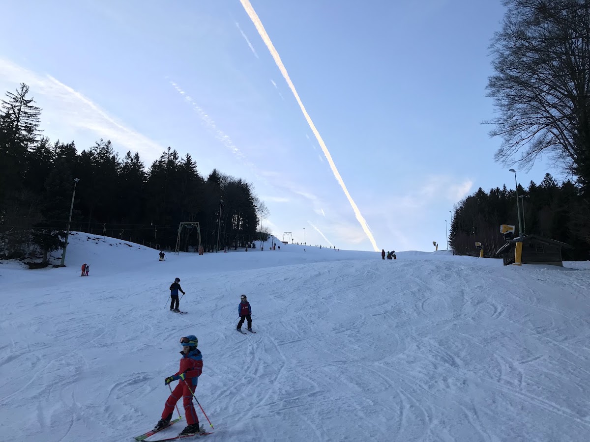 Schlittenhang in Schönberg