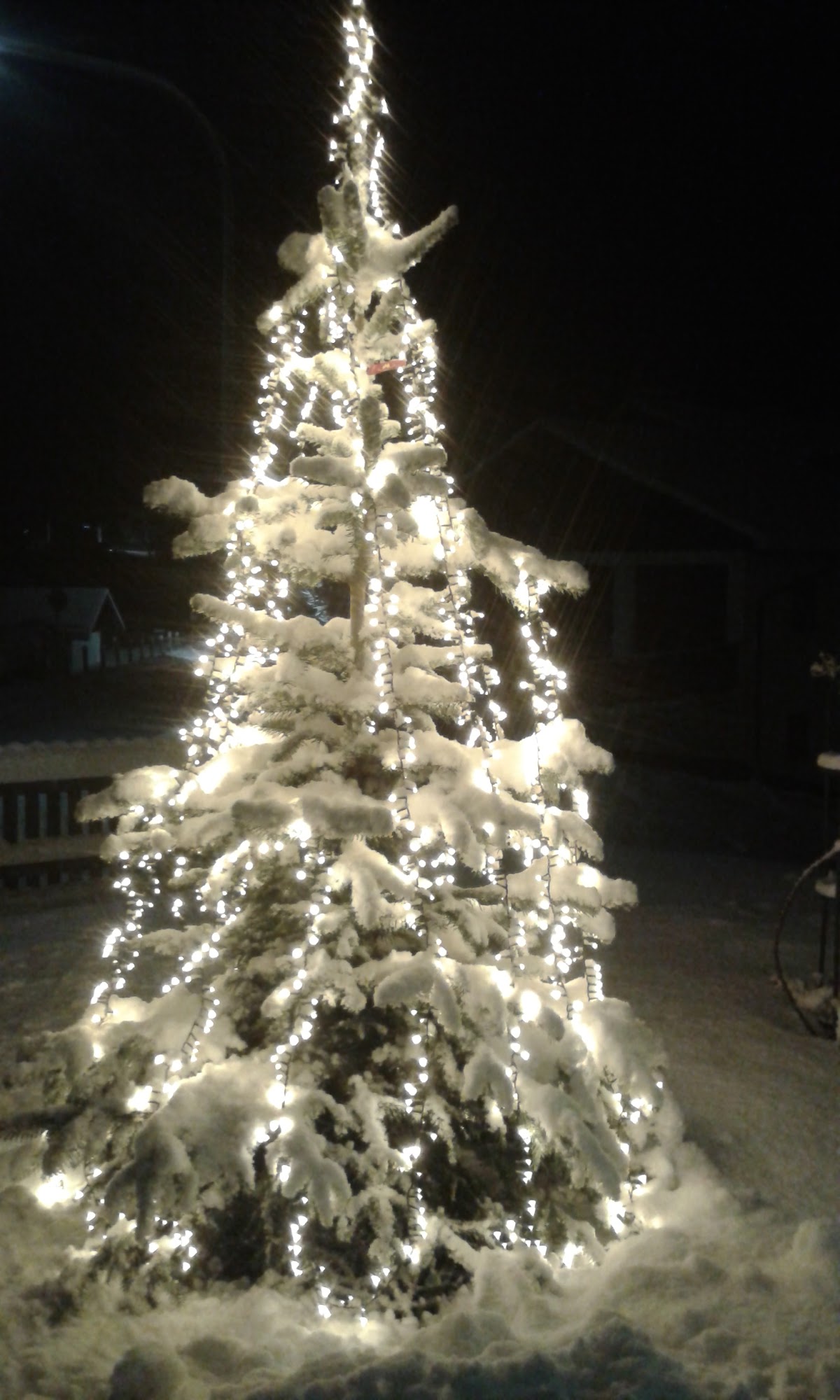 Schneeschuhwandern im Zwieseler Winkel