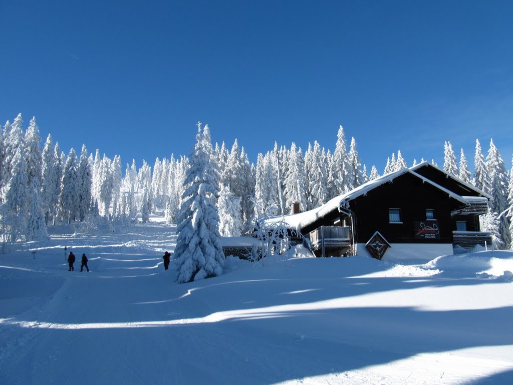Schneeschuhwandern in Sankt Oswald-Riedlhütte