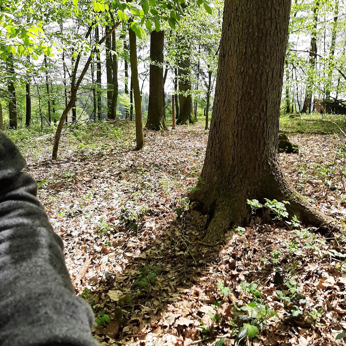 Sitzgelegenheit am Landshuter Höhenwanderweg