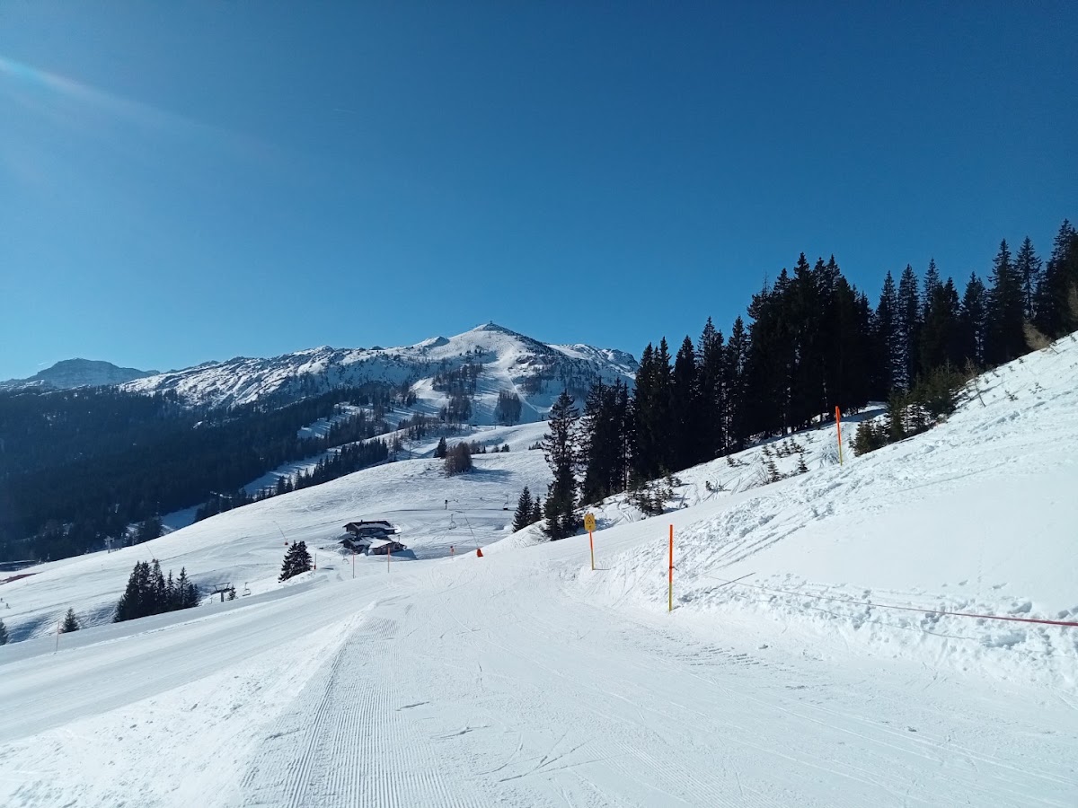 Skigebiet Winklmoosalm-Steinplatte