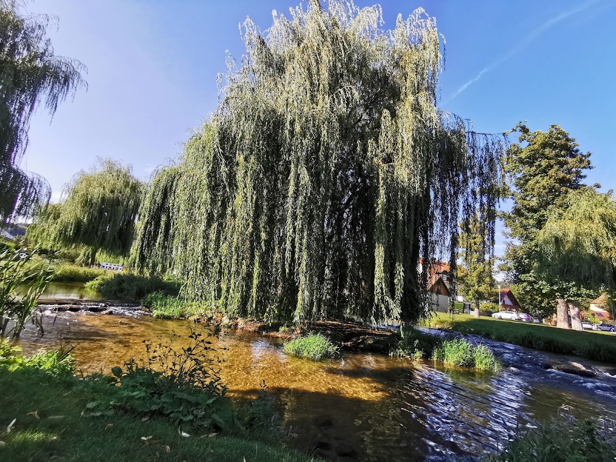 Stadtpark