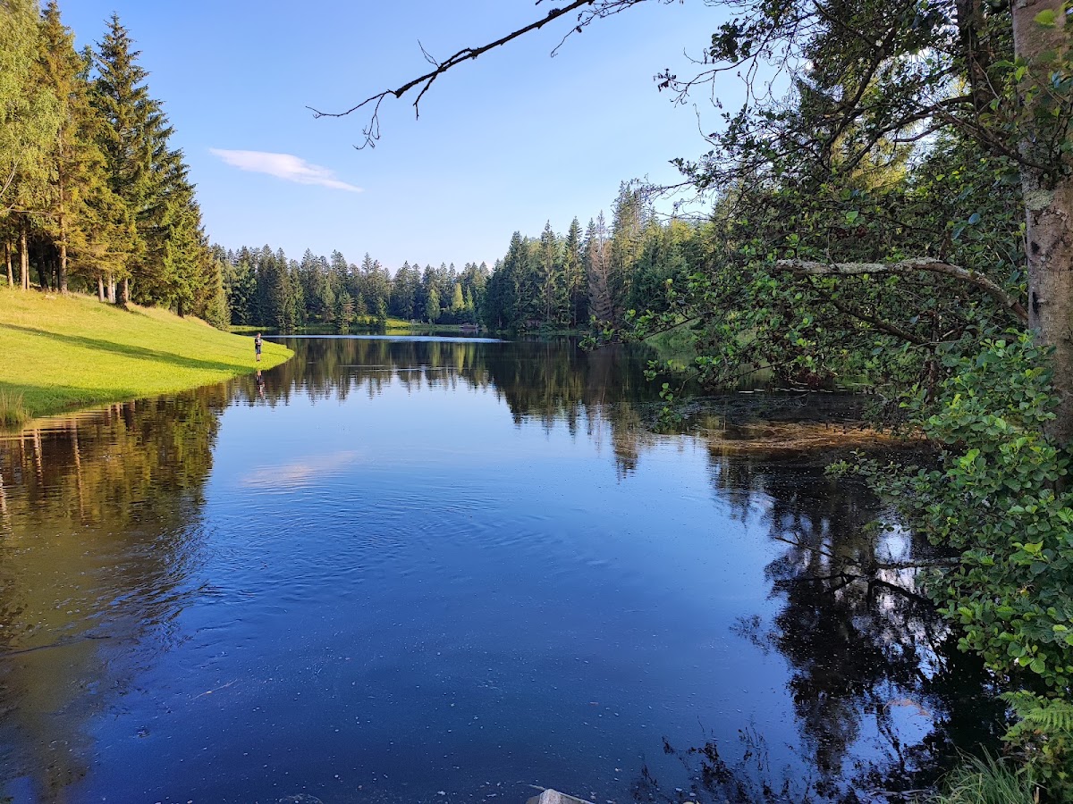 Stausee Riedelsbach