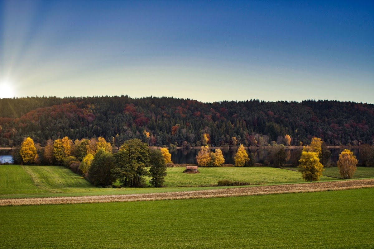 Tachinger See