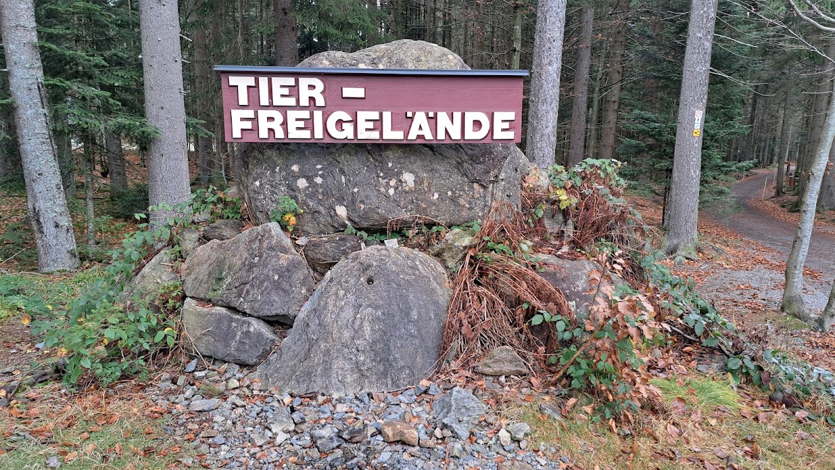 Tierfreigelände im Nationalparkzentrum Lusen