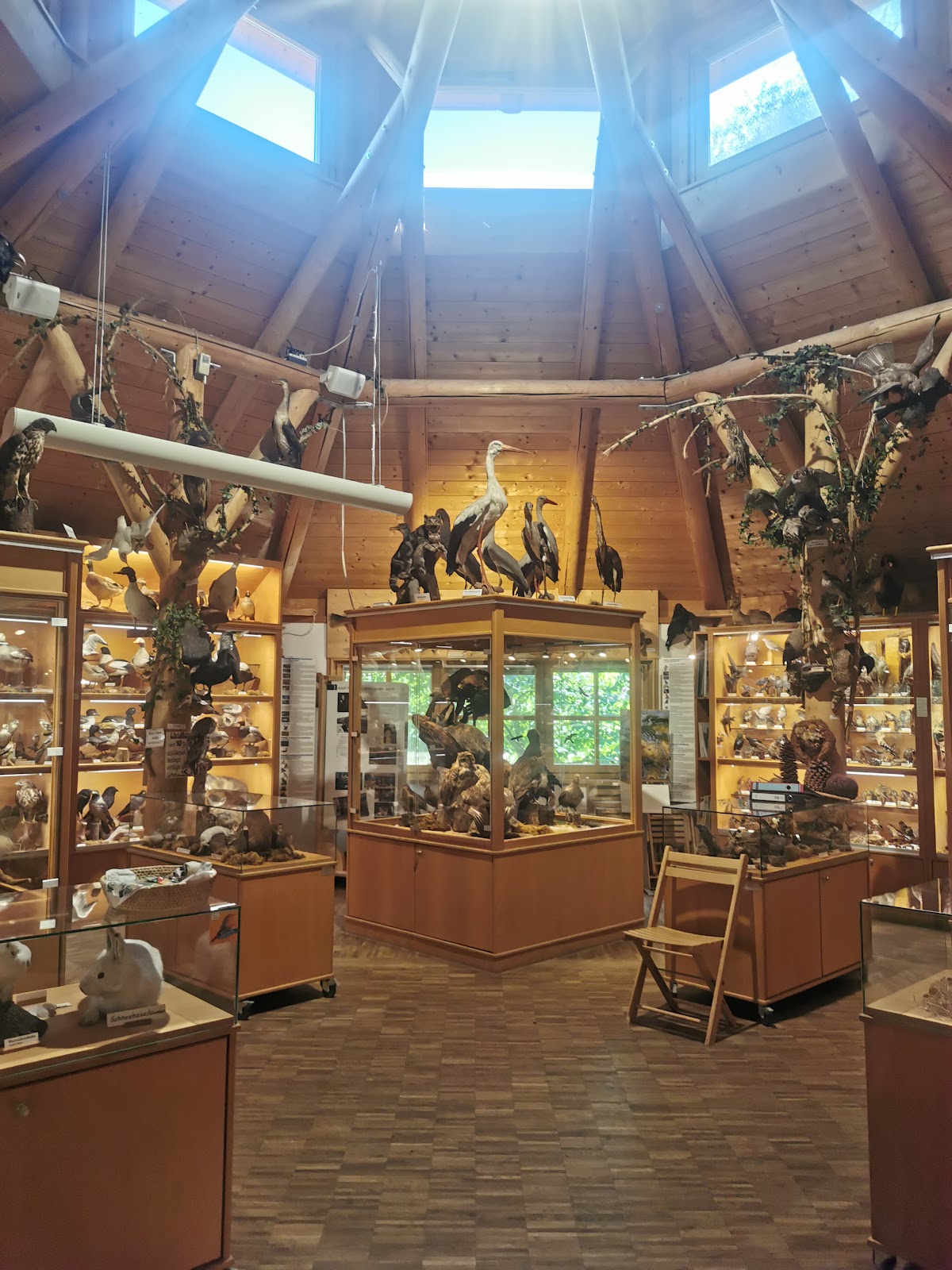 Tierkunde-Museum