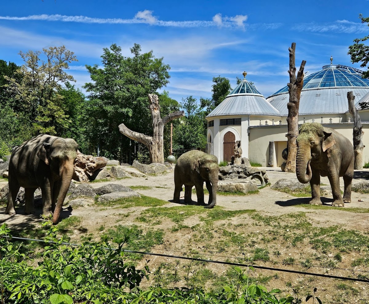 Tierpark Hellabrunn München