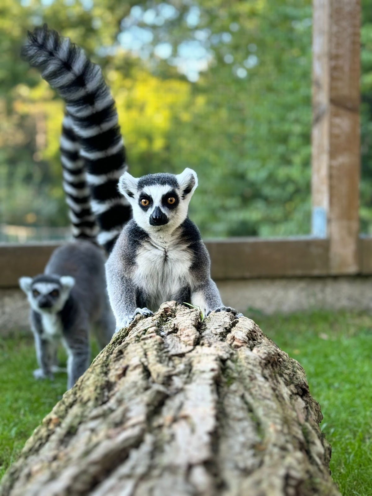 Tierpark Irgenöd