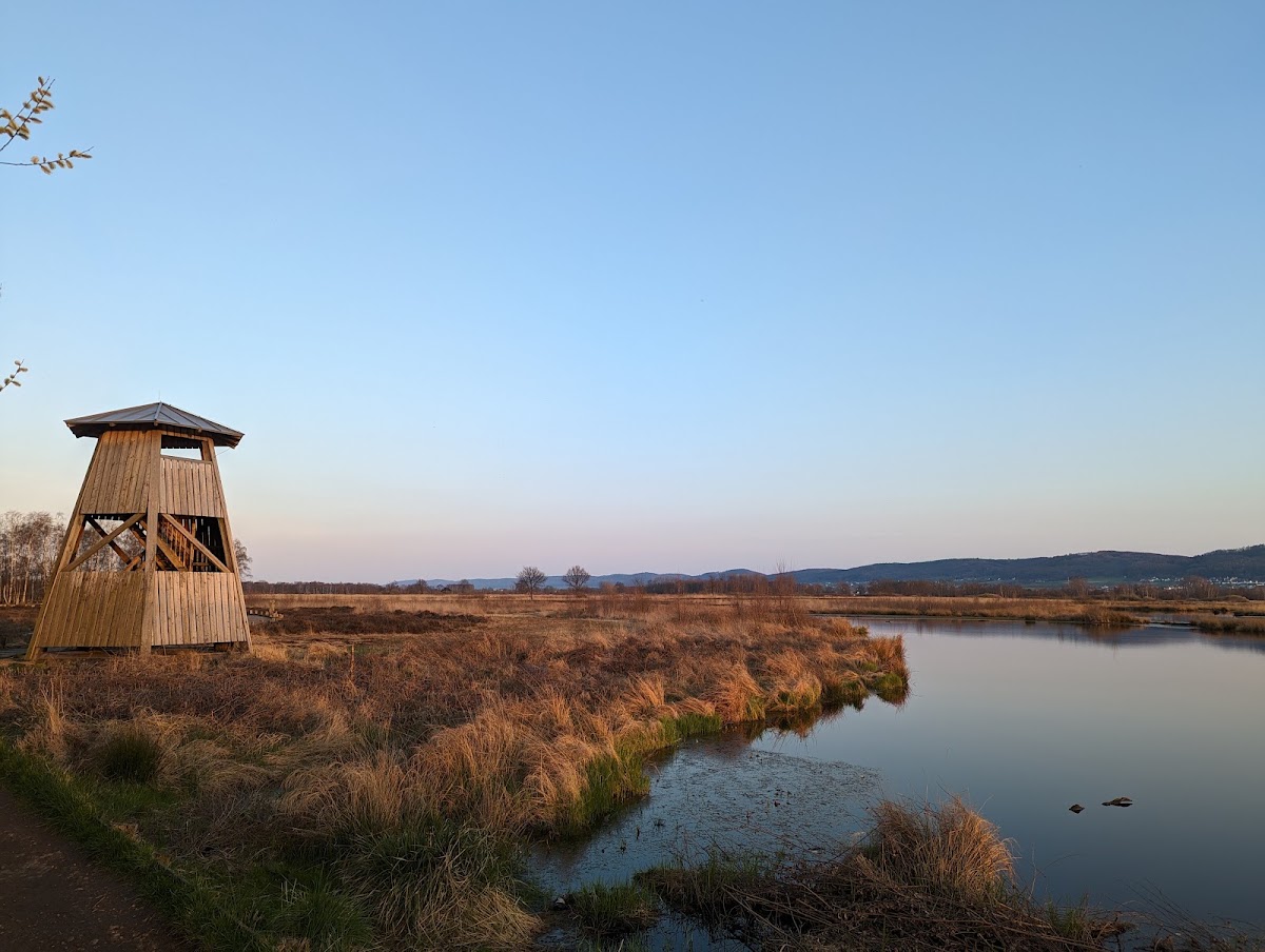 Torfmoor zwischen Sonndorf und Linden