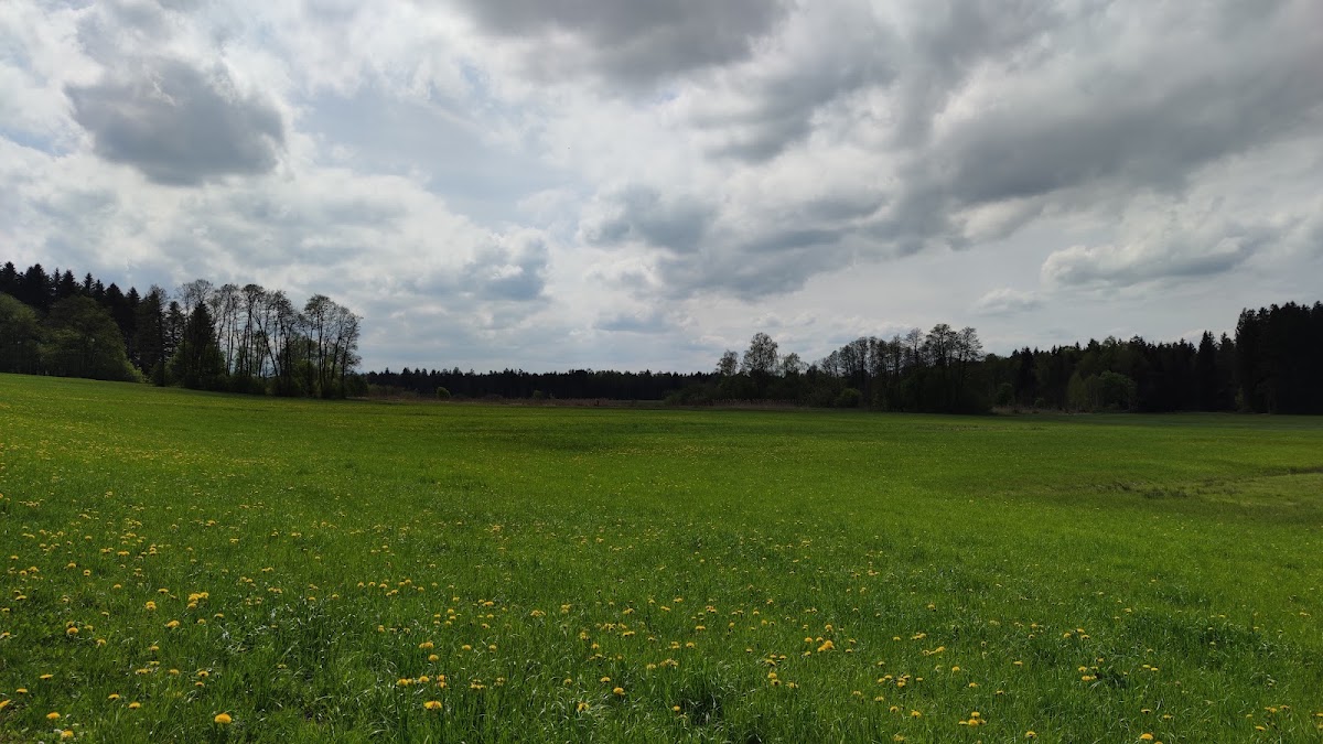 Vogelbeobachtungsstation, Moorlehrpfad Freimoos
