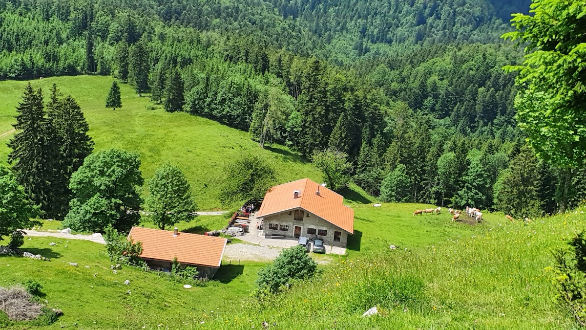 Wagneralm