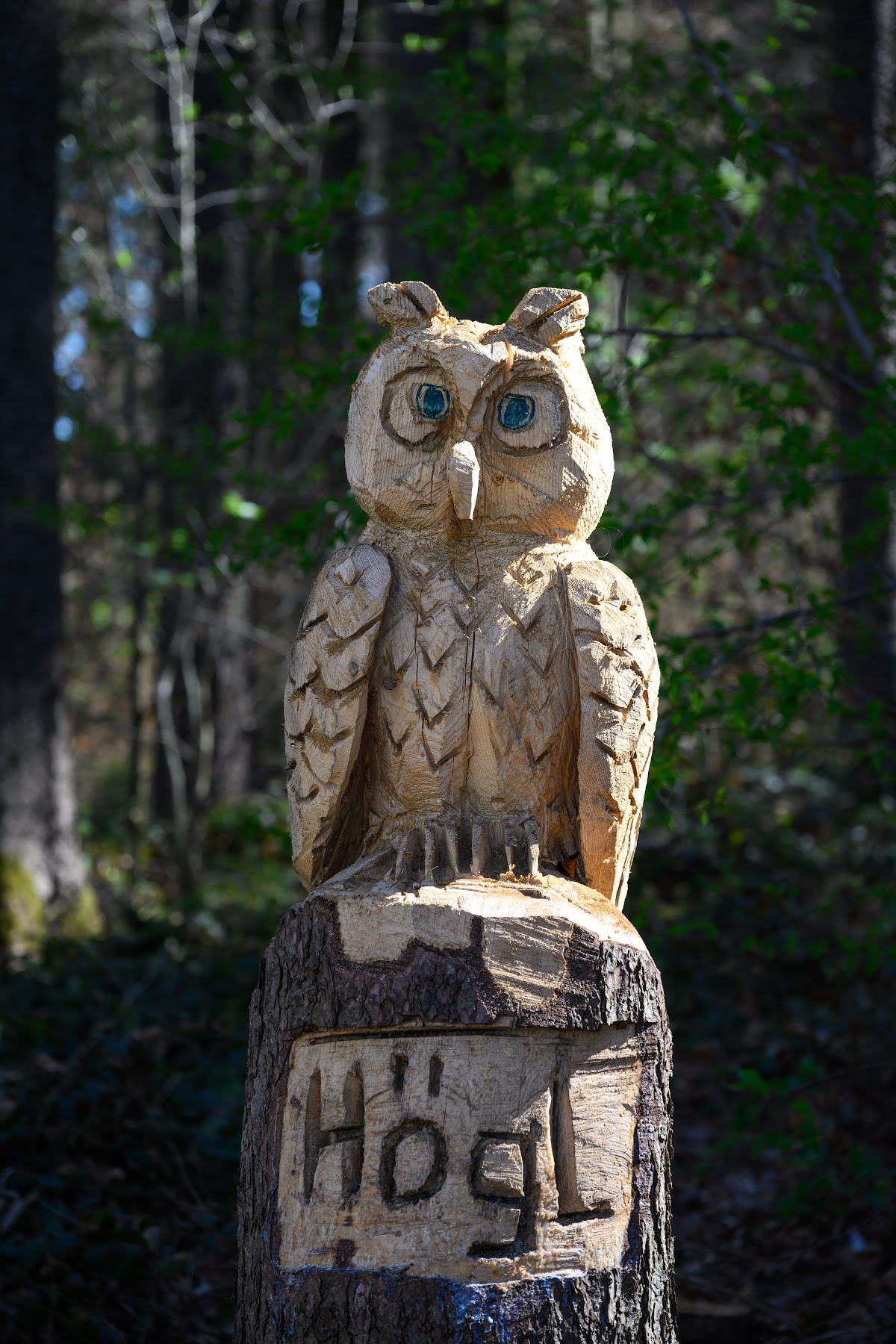 Wald- und Obstlehrpfad Hohenried