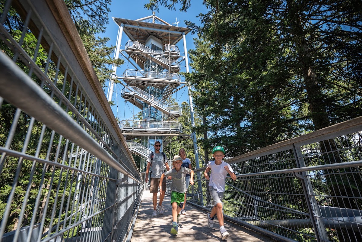 Waldwelt Skywalk Allgäu – Baumwipfelpfad