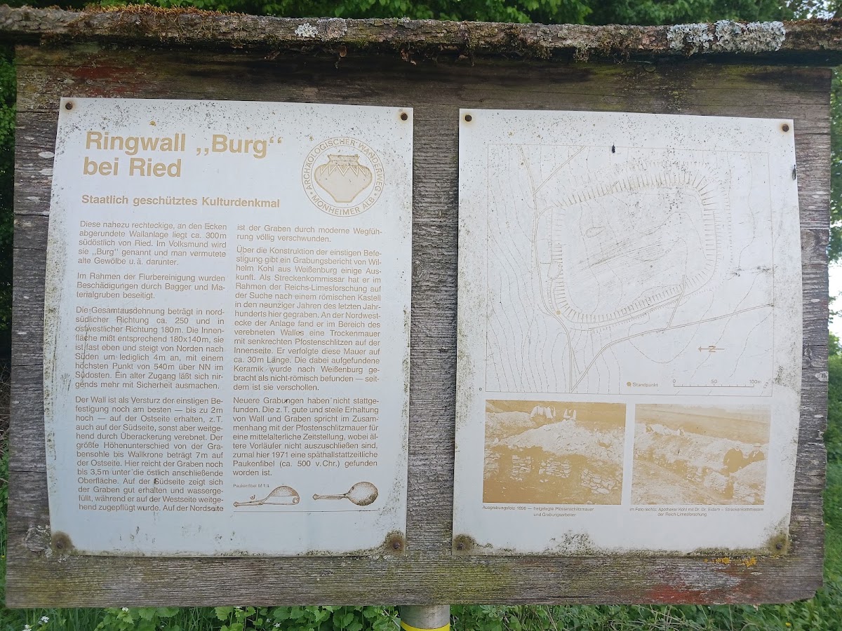 Wallanlage Ried