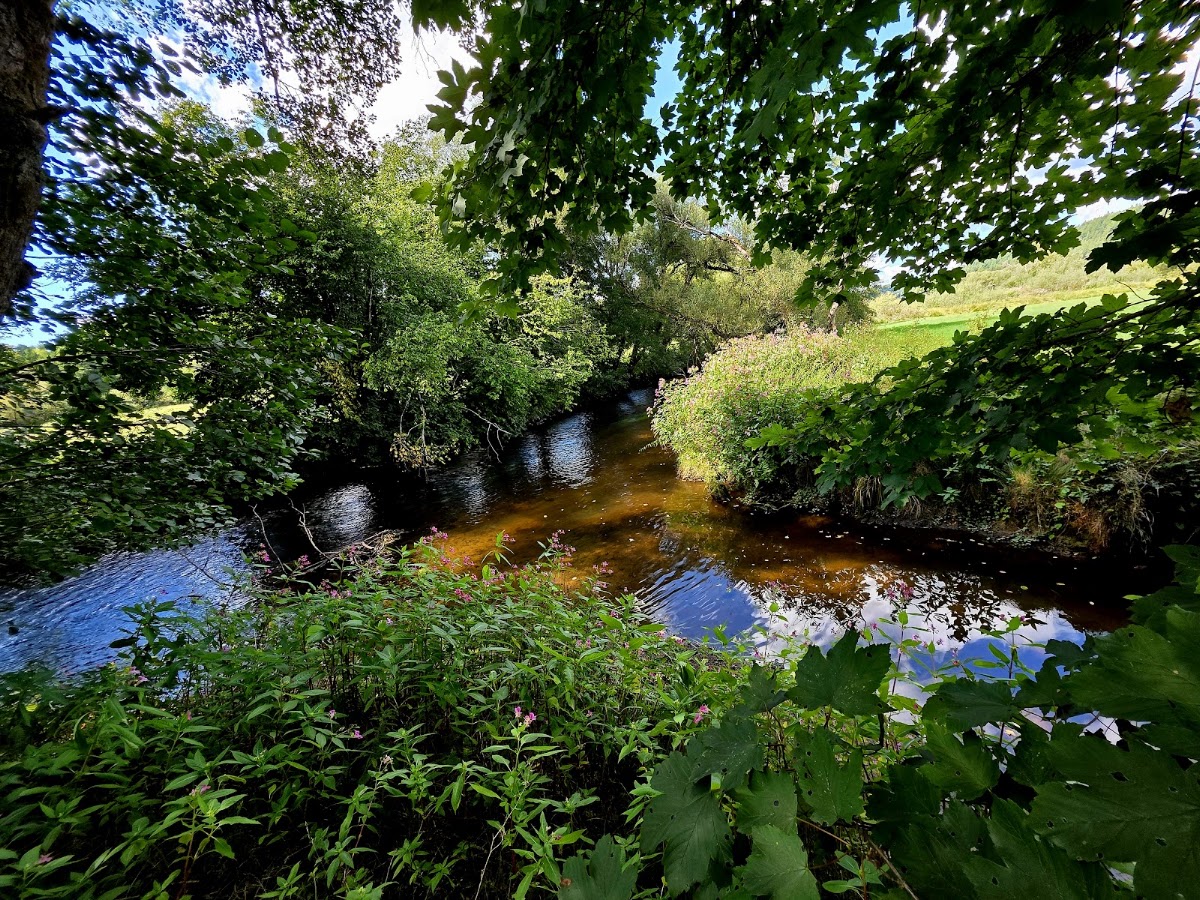 Wanderweg entlang der Ilz bei Grafenau