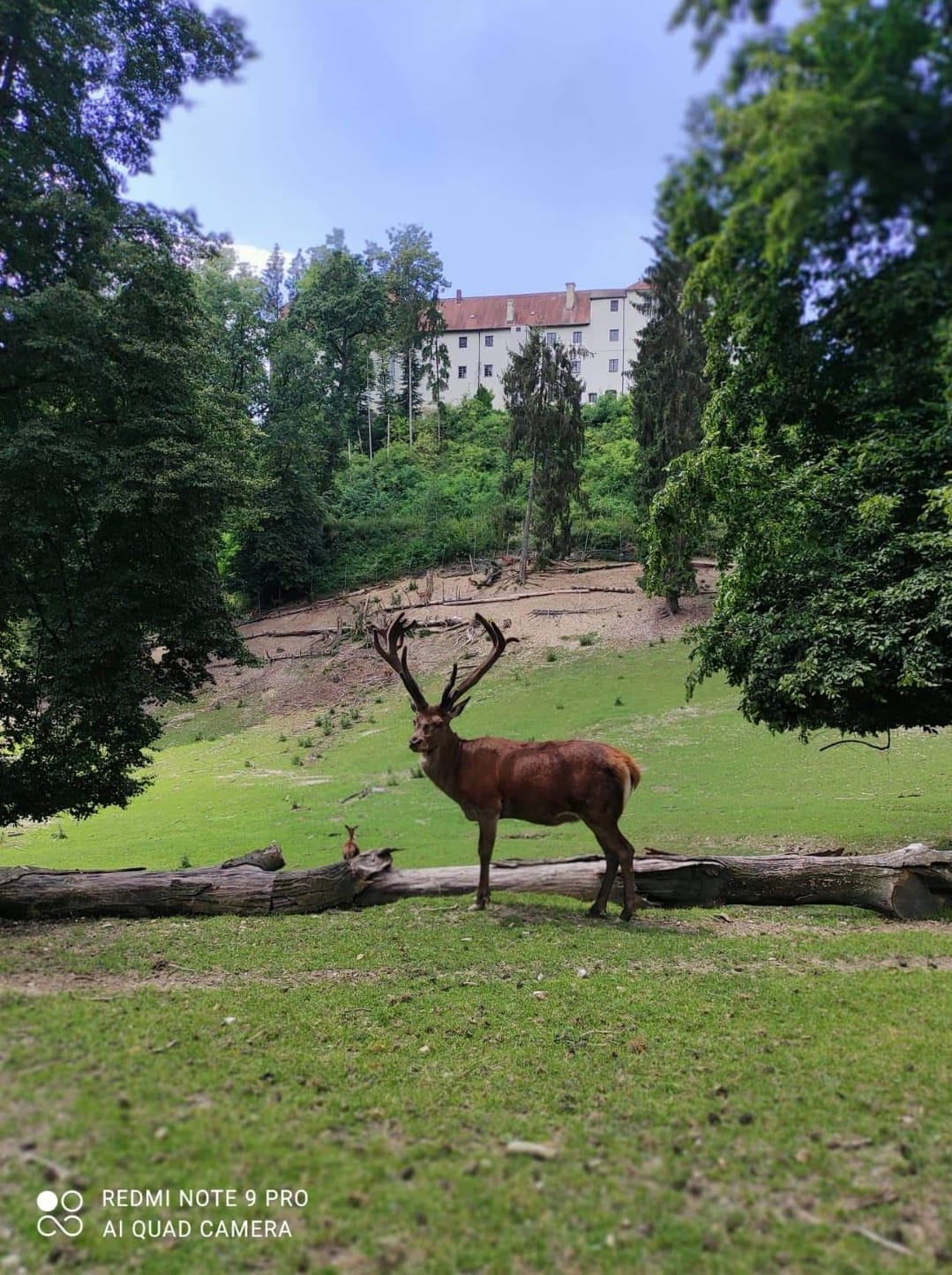 Wildpark Ortenburg
