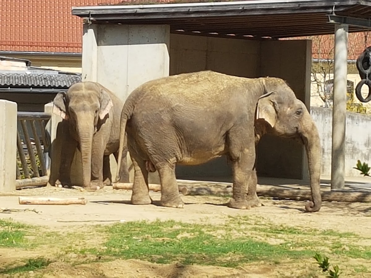 Zoo Augsburg