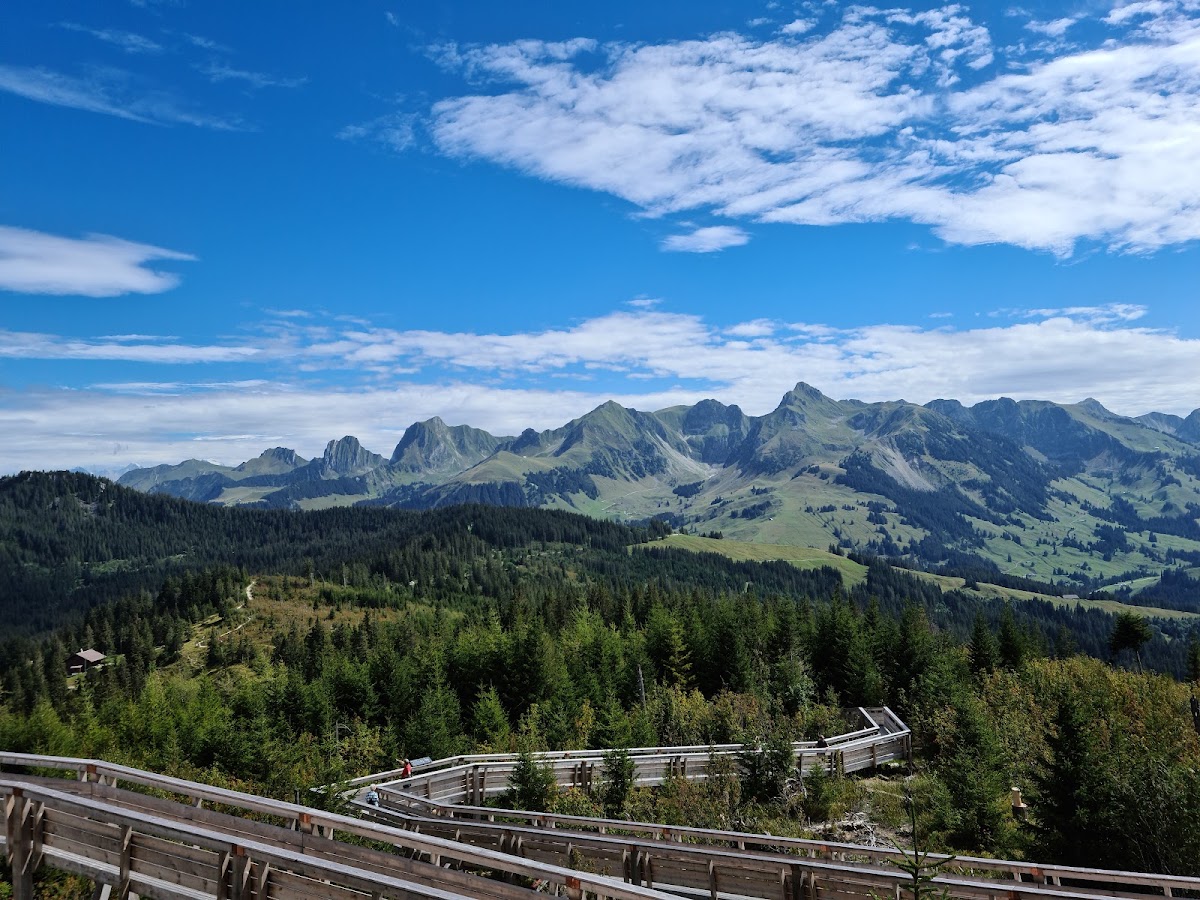 Gäggersteg im Naturpark Gantrisch