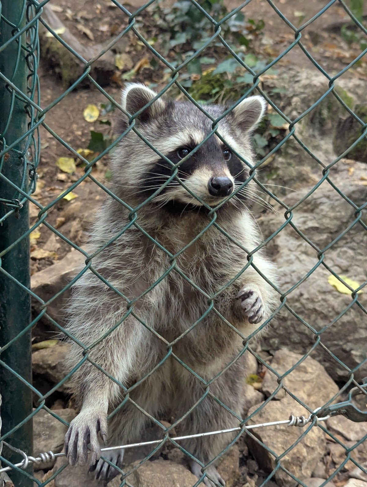 Tierpark Biel