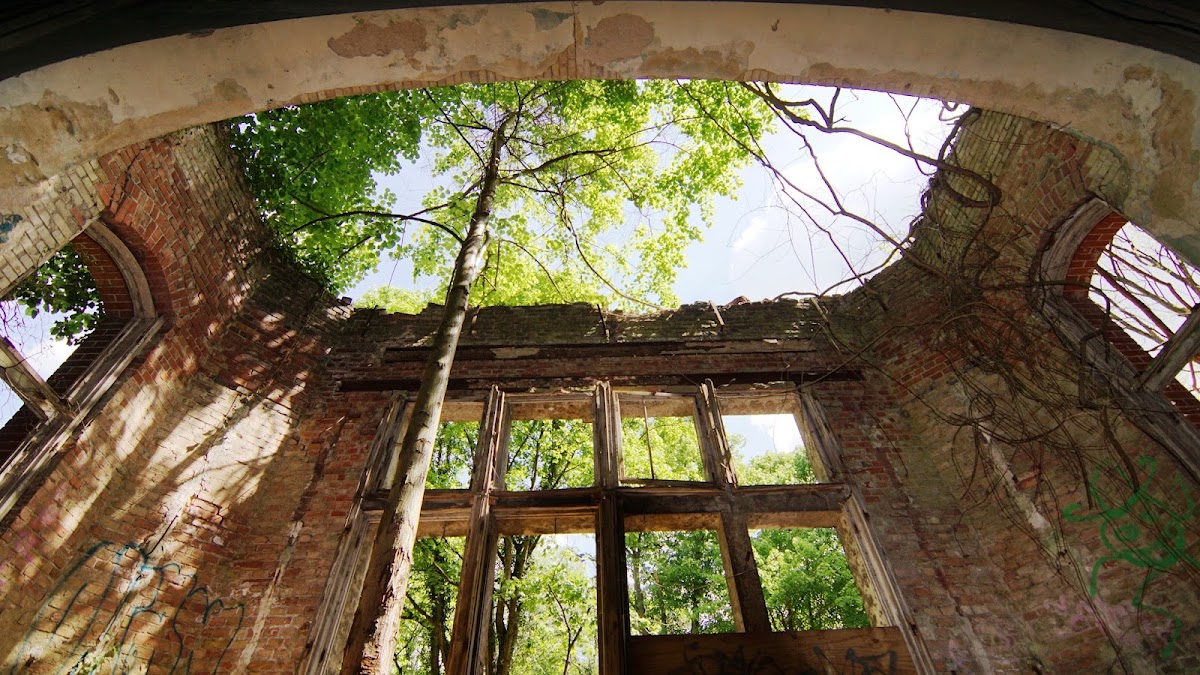 Baumkronenpfad Beelitz-Heilstätten – Baum & Zeit