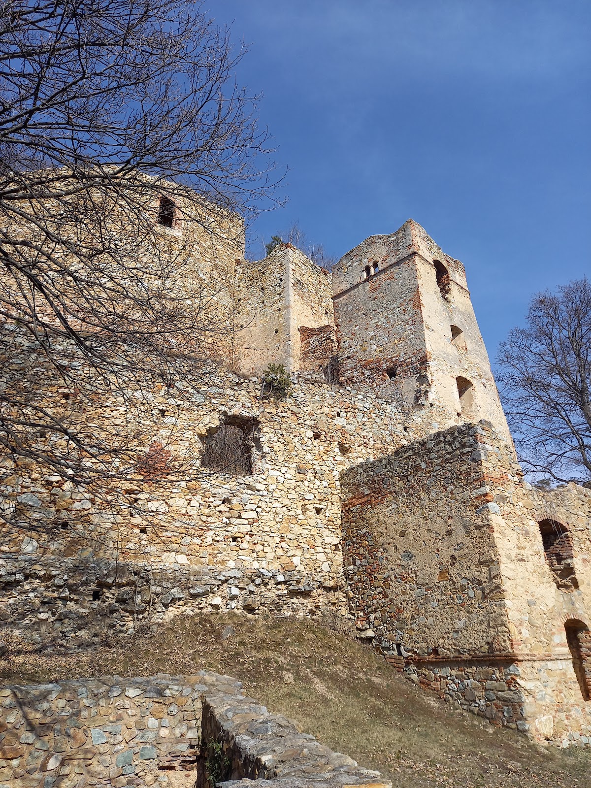 Burgruine Landsee