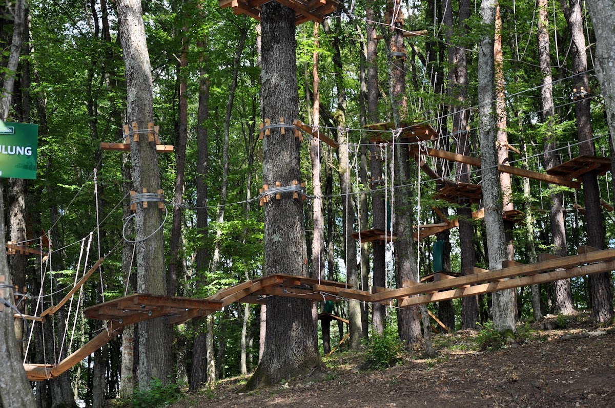 Hochseilgarten stegerspark