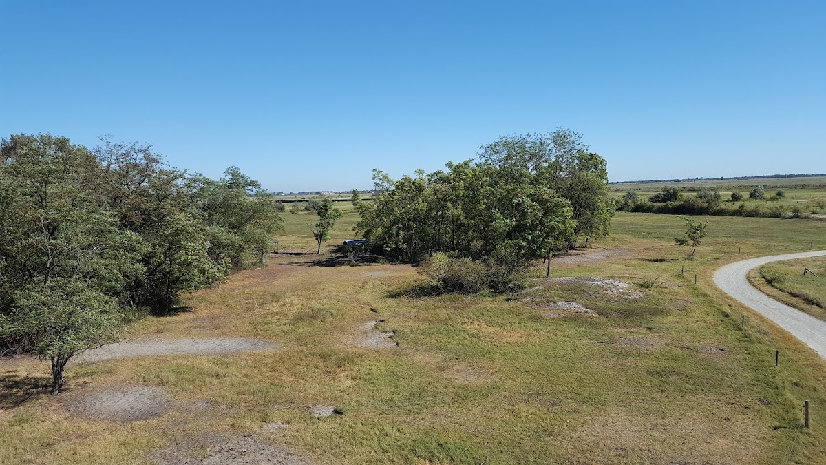 Nationalparkzentrum Neusiedler See – Seewinkel (Illmitz)