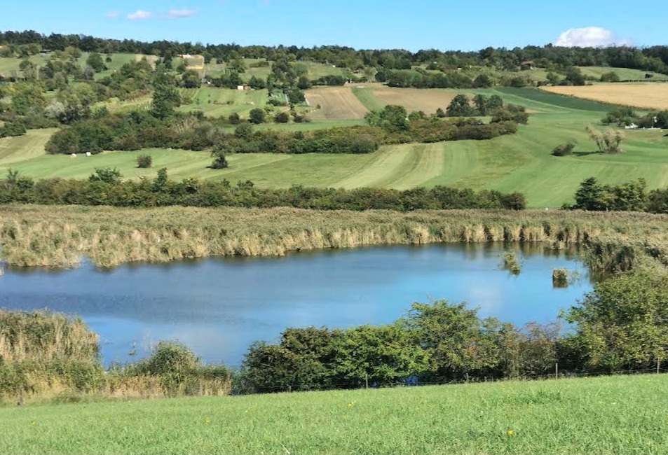 Naturpark Rosalia-Kogelberg