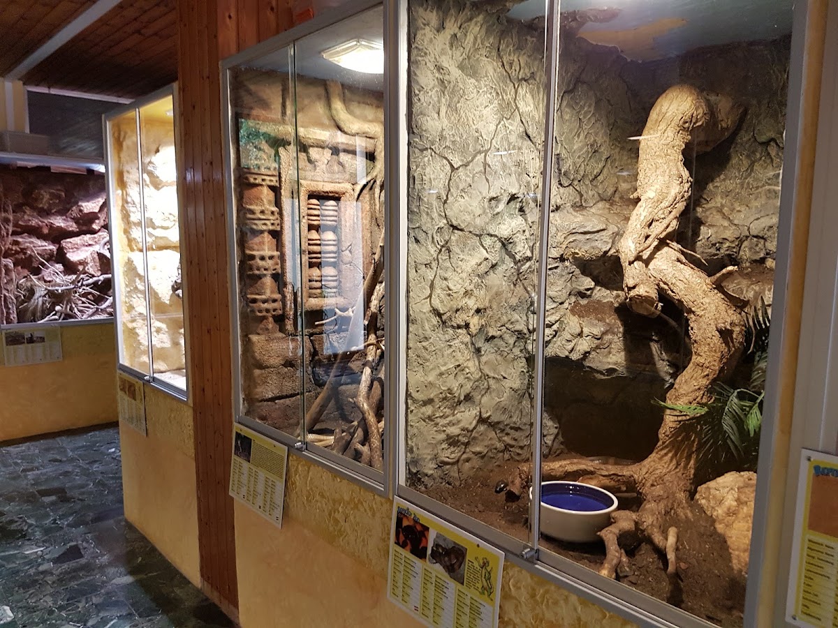 Reptilienzoo Forchtenstein