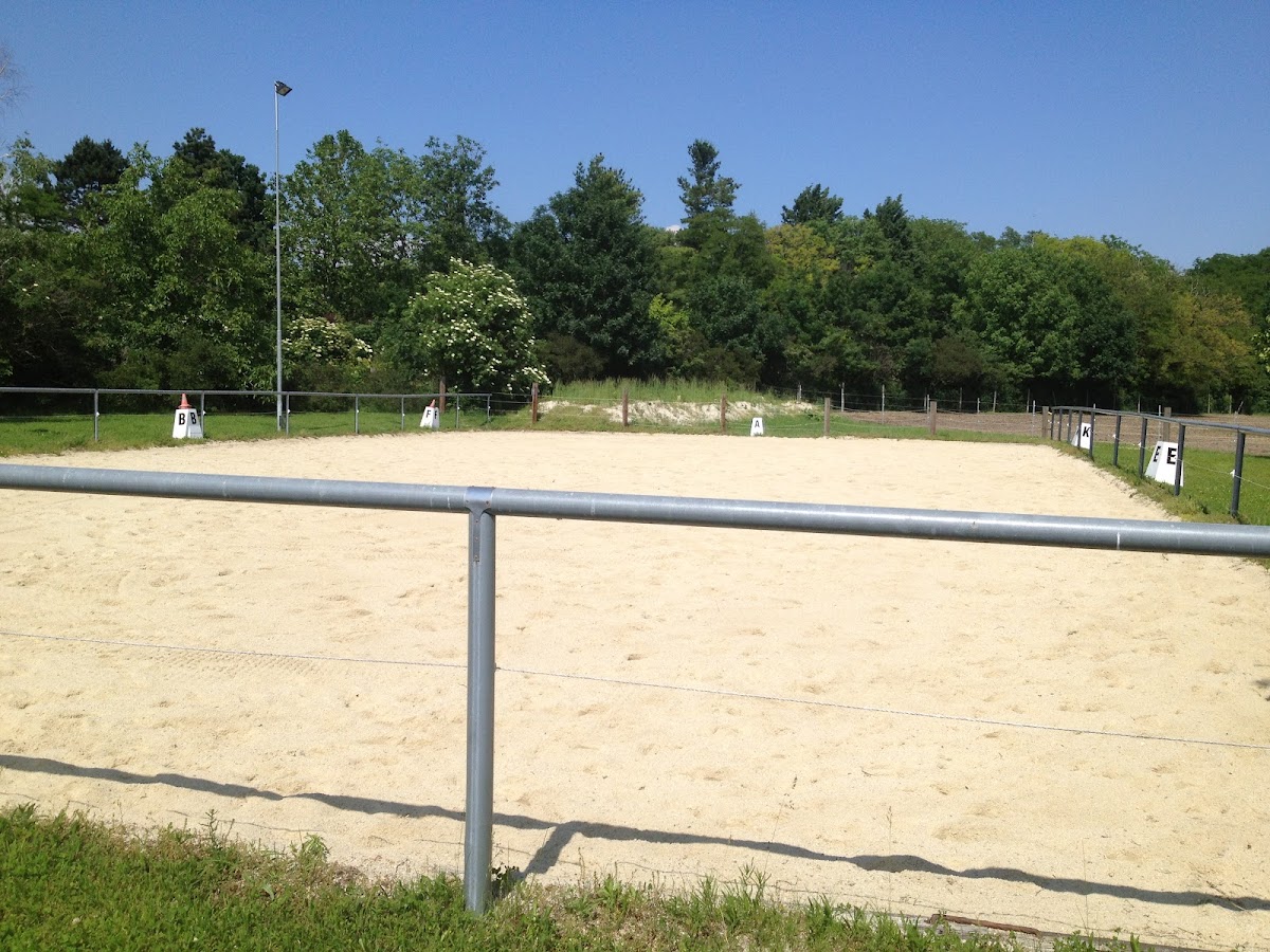 Wein- und Pferdehof Jobst