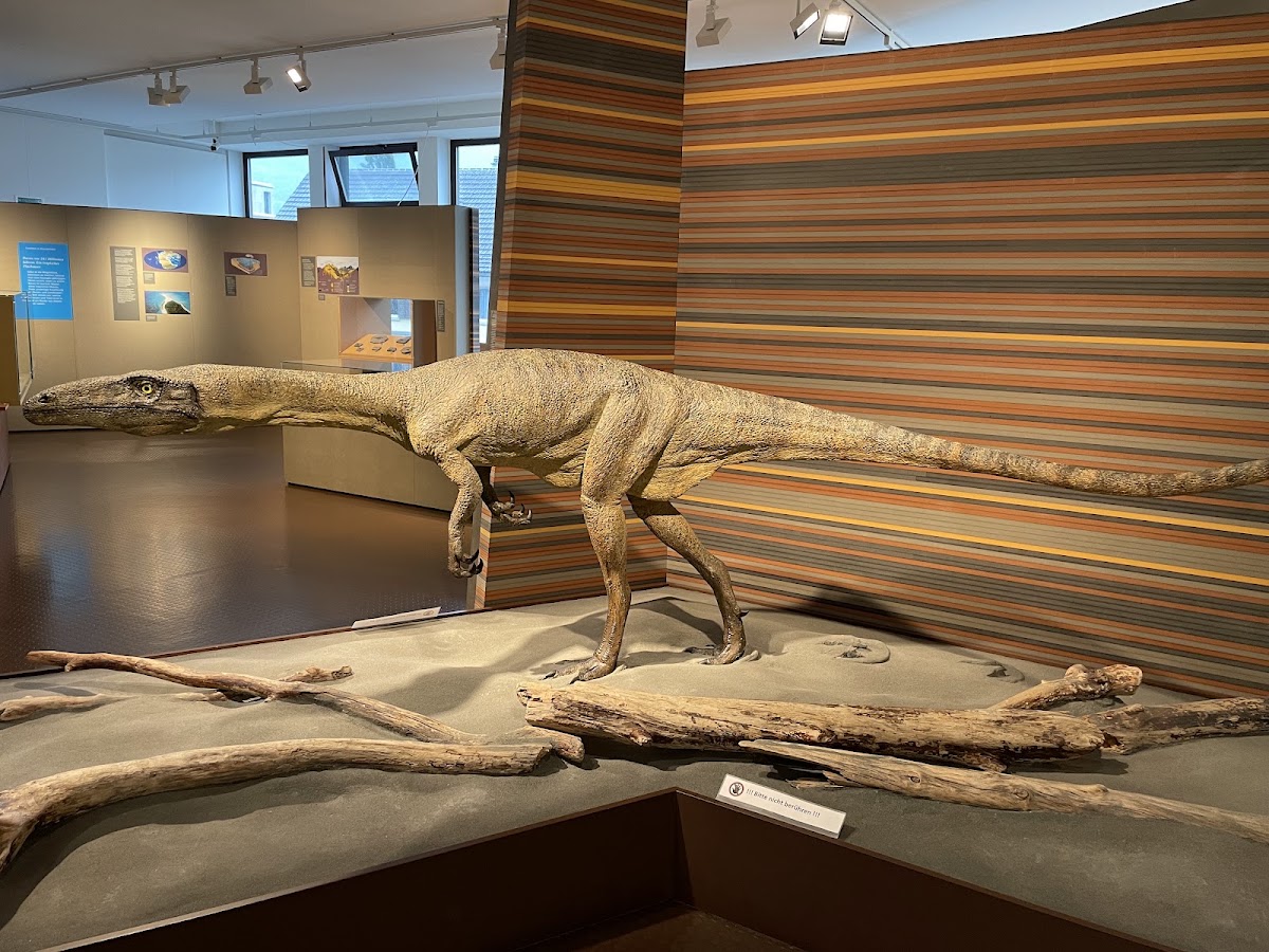Bündner Naturmuseum